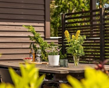 Patio w rozkwicie: rośliny, które zachwycą przez cały sezon