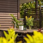 Patio w rozkwicie: rośliny, które zachwycą przez cały sezon